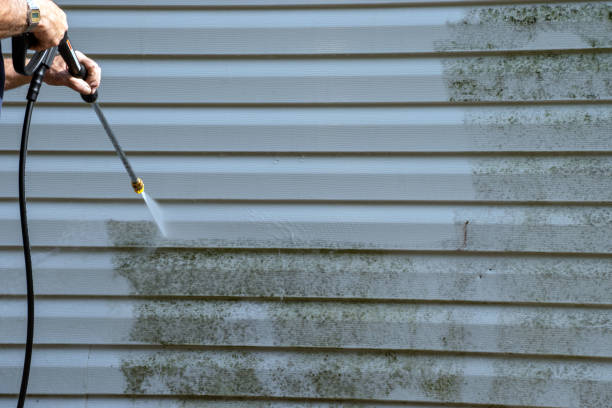 Trusted Newton, MA Siding Services Experts