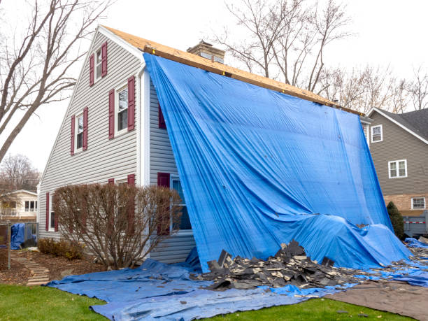 Best Steel Siding Installation  in Newton, MA