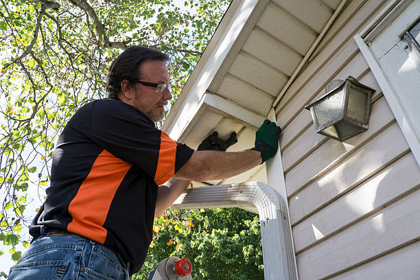 Best Storm Damage Siding Repair  in Newton, MA